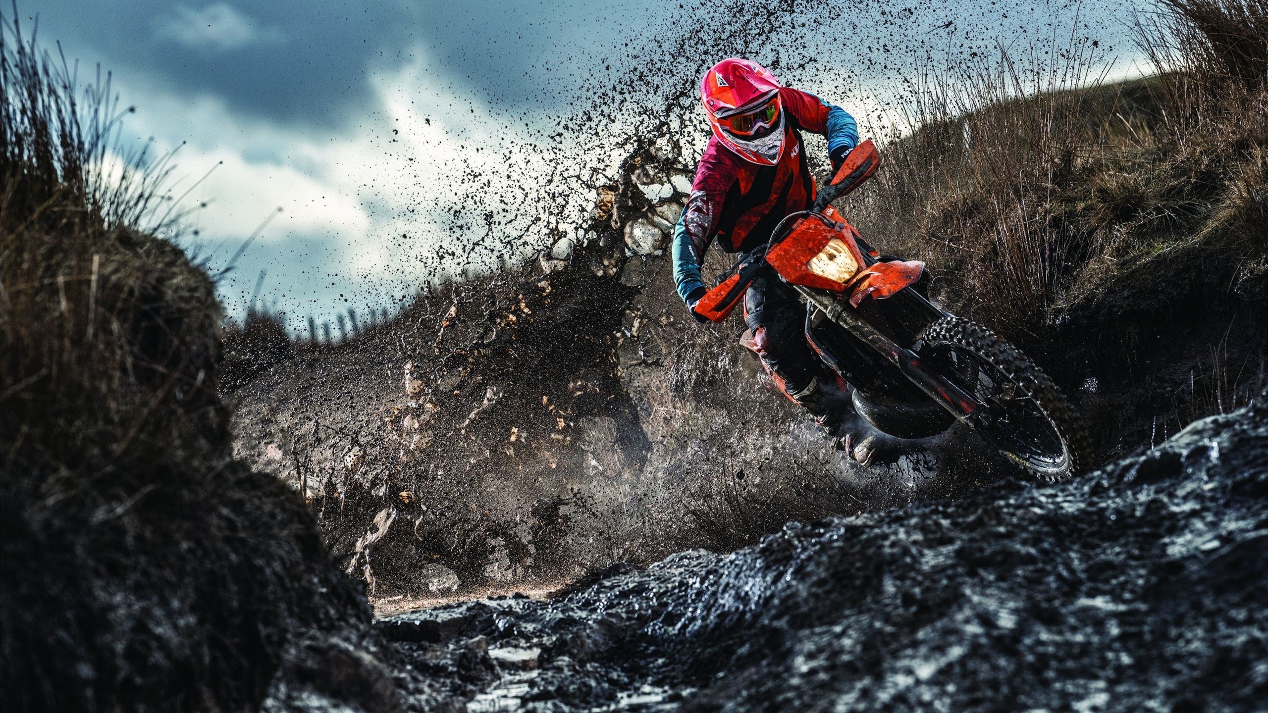 开云体育官方网站-2026世界杯焦点战，奥地利战术革命，如何以系统足球制霸爱尔兰